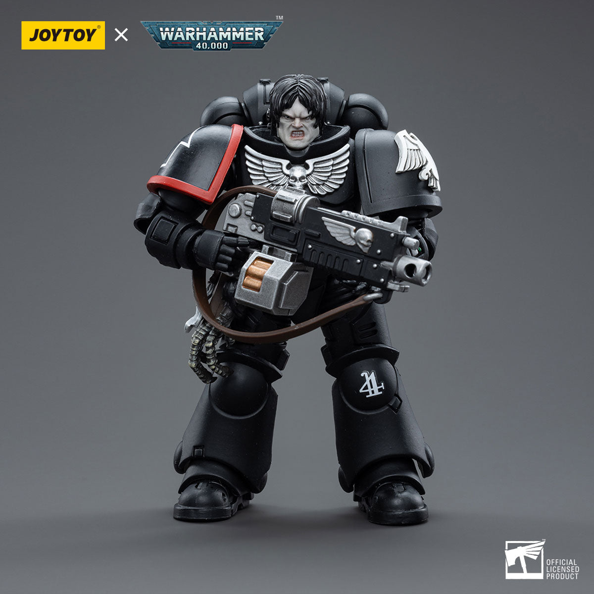Raven Guard Intercessors Brother Colvane