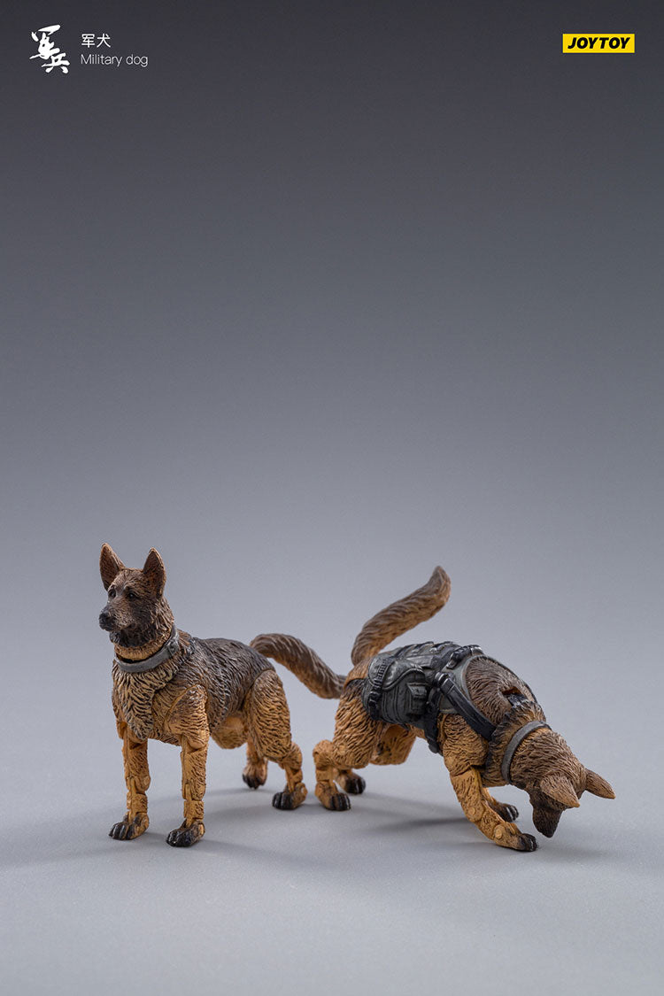 Military Dog