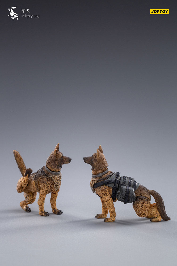 Military Dog
