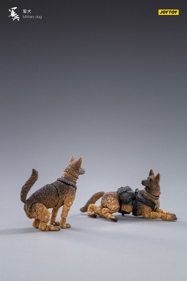 Military Dog
