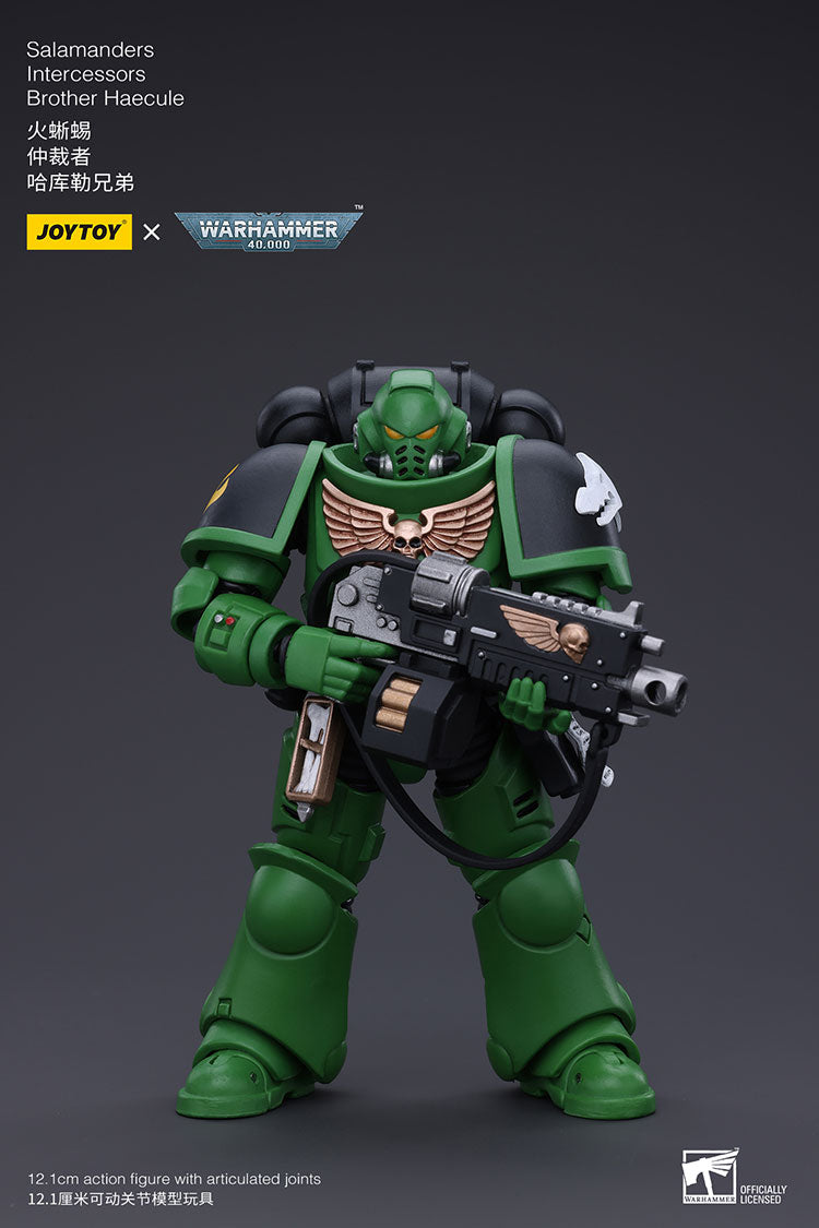 Salamanders Intercessors Brother Haecule