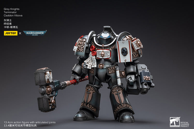 Grey Knights Terminator Caddon Vibova