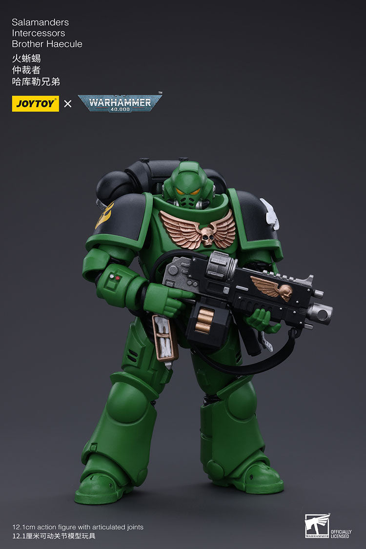 Salamanders Intercessors Brother Haecule