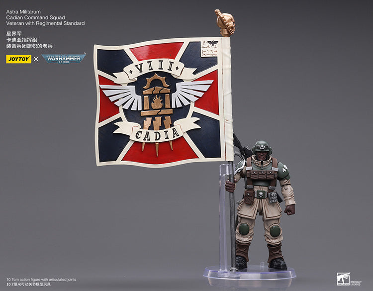 Astra Militarum Cadian Command Squad Veteran with Regimental Standard