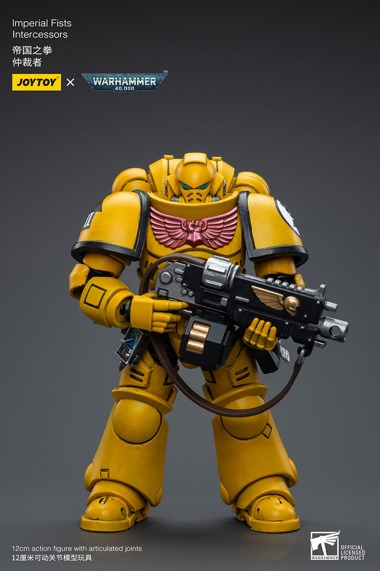 Imperial Fists Intercessors