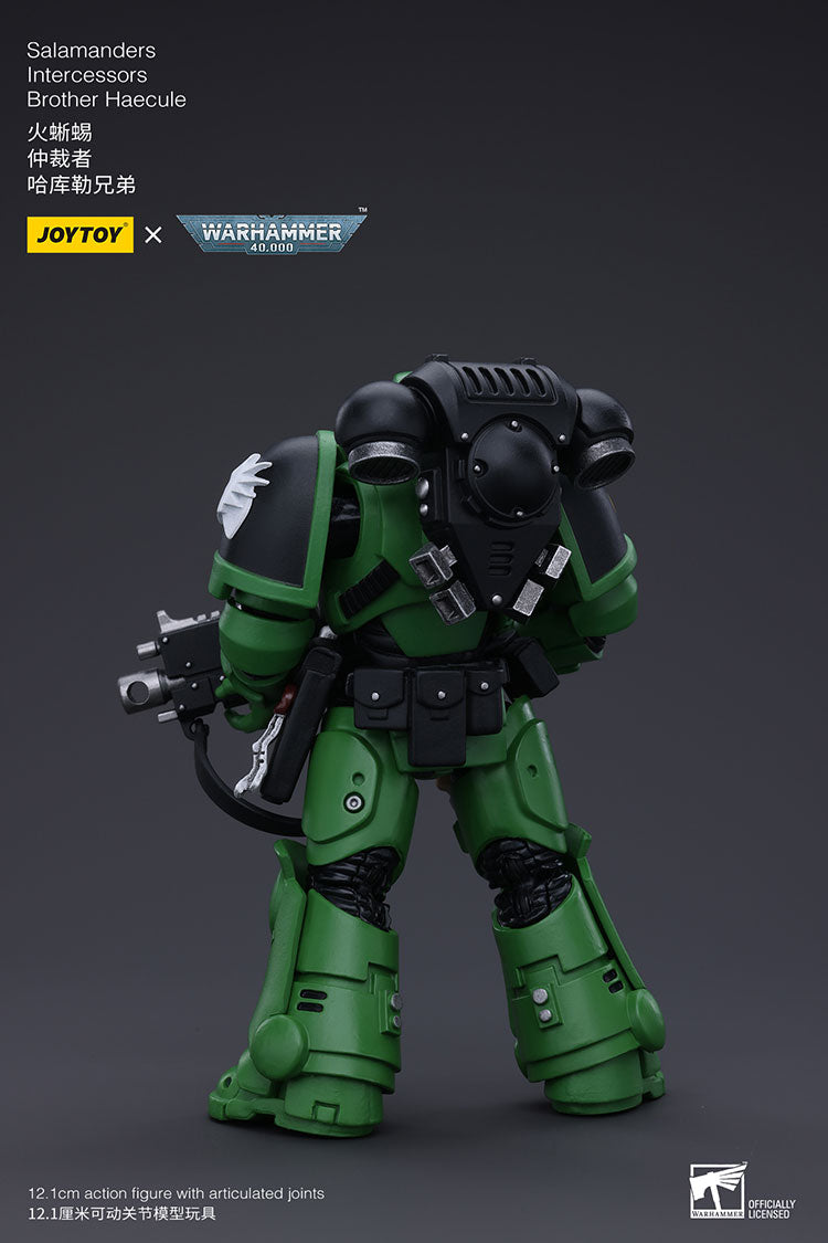Salamanders Intercessors Brother Haecule
