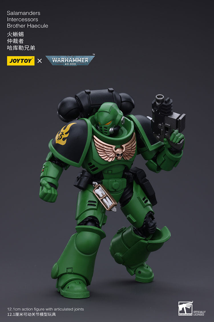 Salamanders Intercessors Brother Haecule