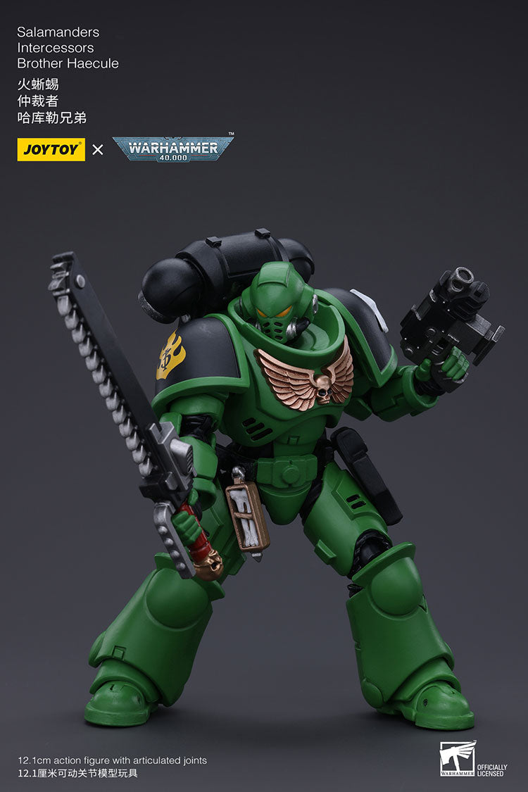 Salamanders Intercessors Brother Haecule