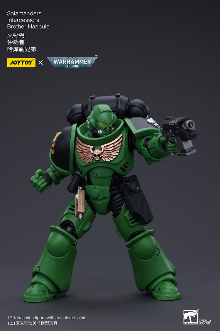 Salamanders Intercessors Brother Haecule