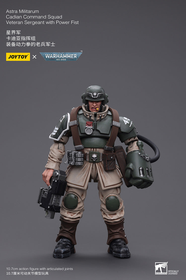 Astra Militarum Cadian Command Squad Veteran with Power Fist