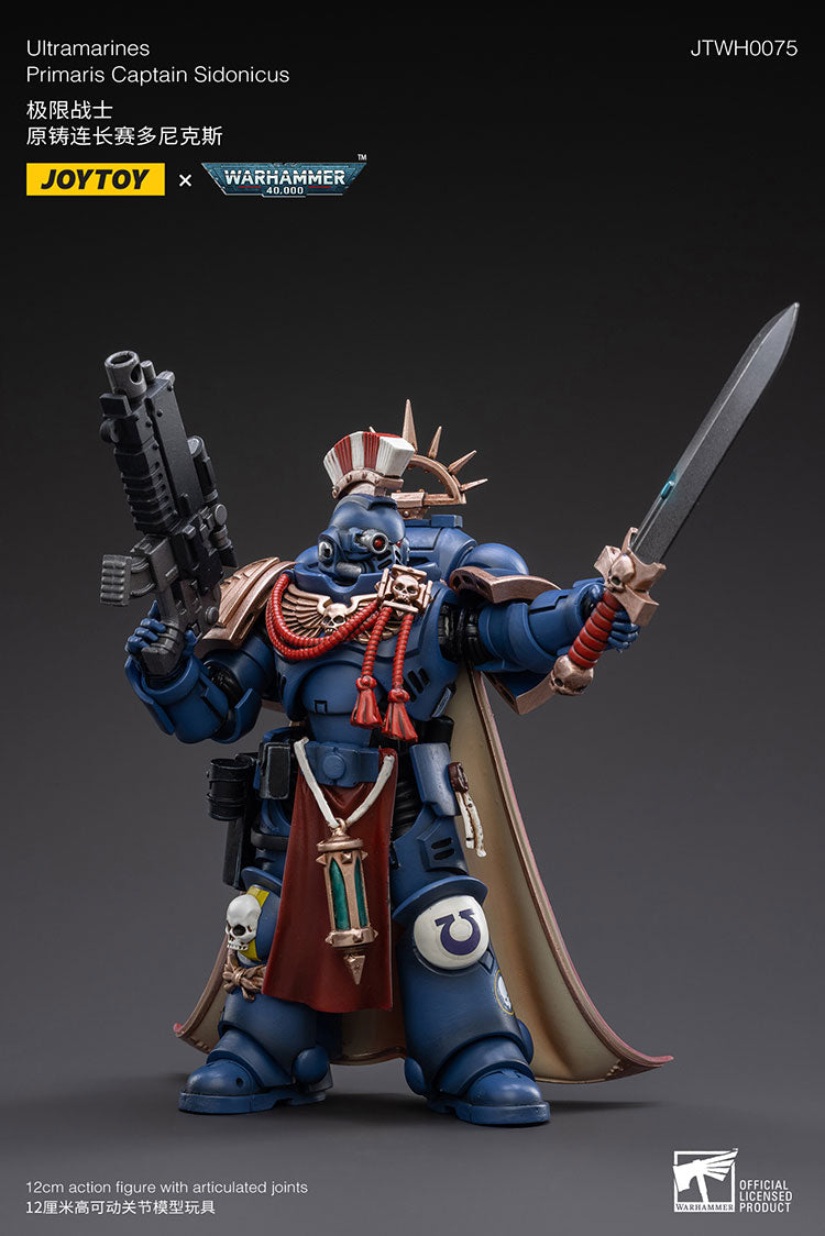 Primaris Captain Sidonicus