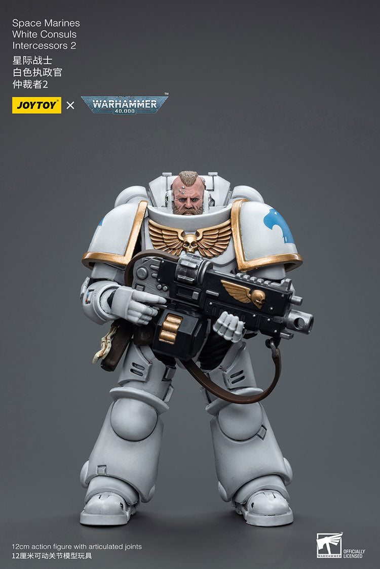 Space Marines White Consuls Intercessors 2