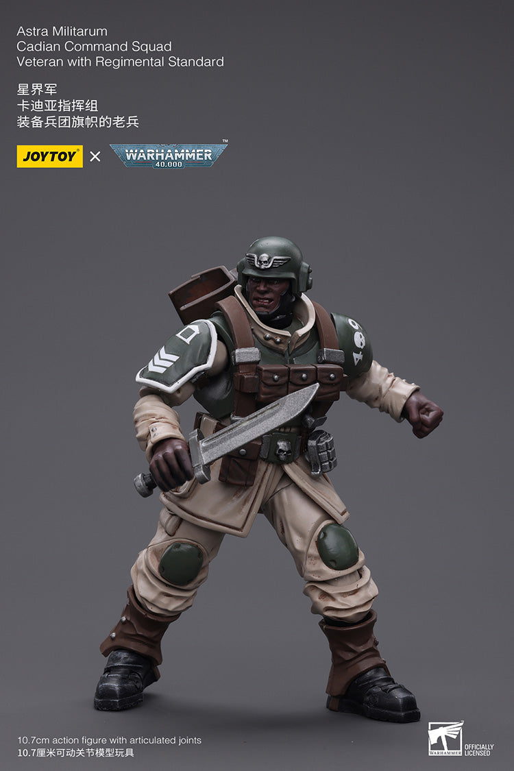 Astra Militarum Cadian Command Squad Veteran with Regimental Standard