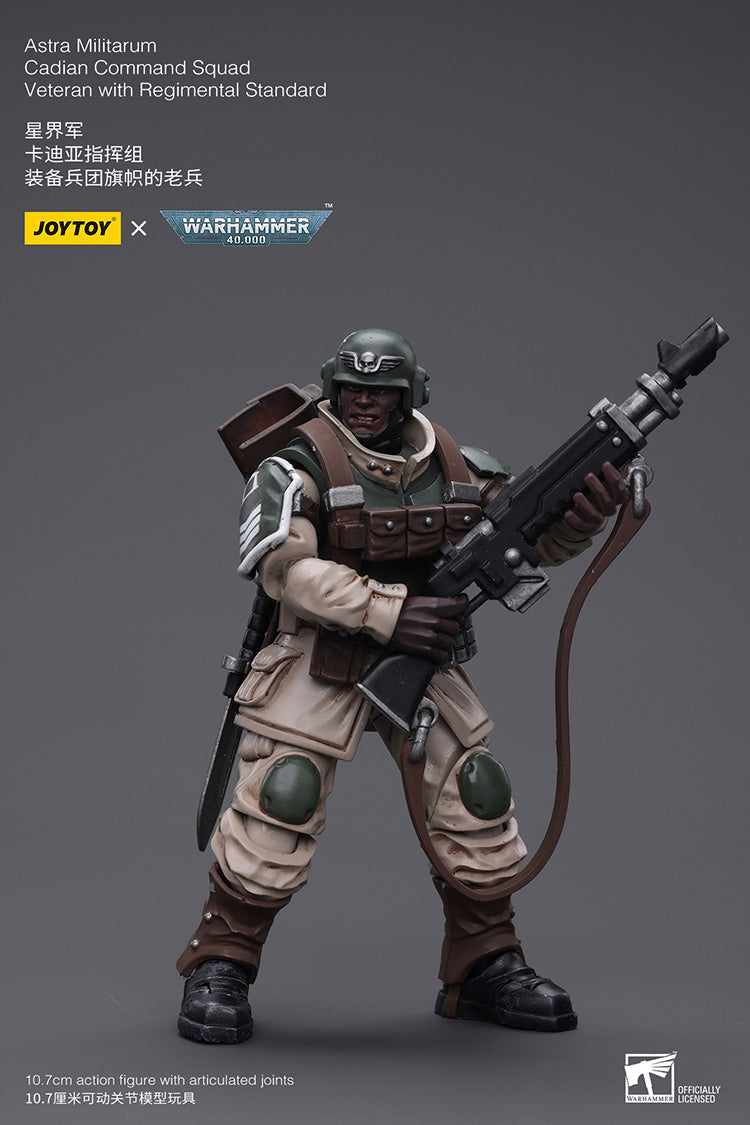 Astra Militarum Cadian Command Squad Veteran with Regimental Standard