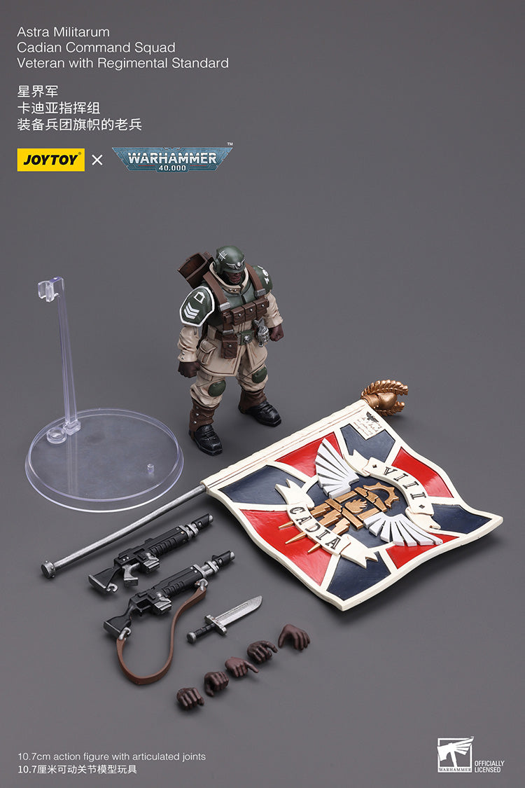 Astra Militarum Cadian Command Squad Veteran with Regimental Standard