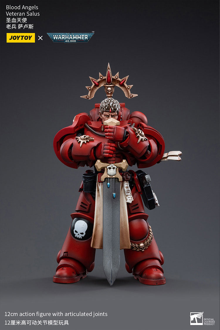 Blood Angels Veteran Salus