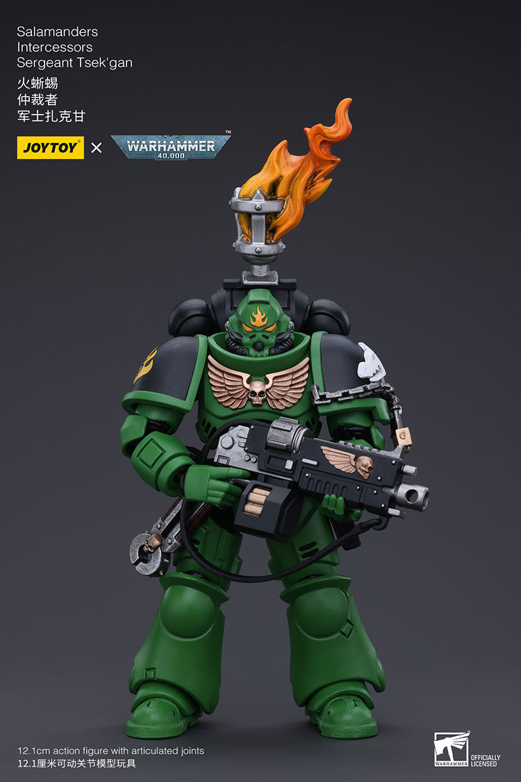 Salamanders Intercessors Sergeant Tsek'gan