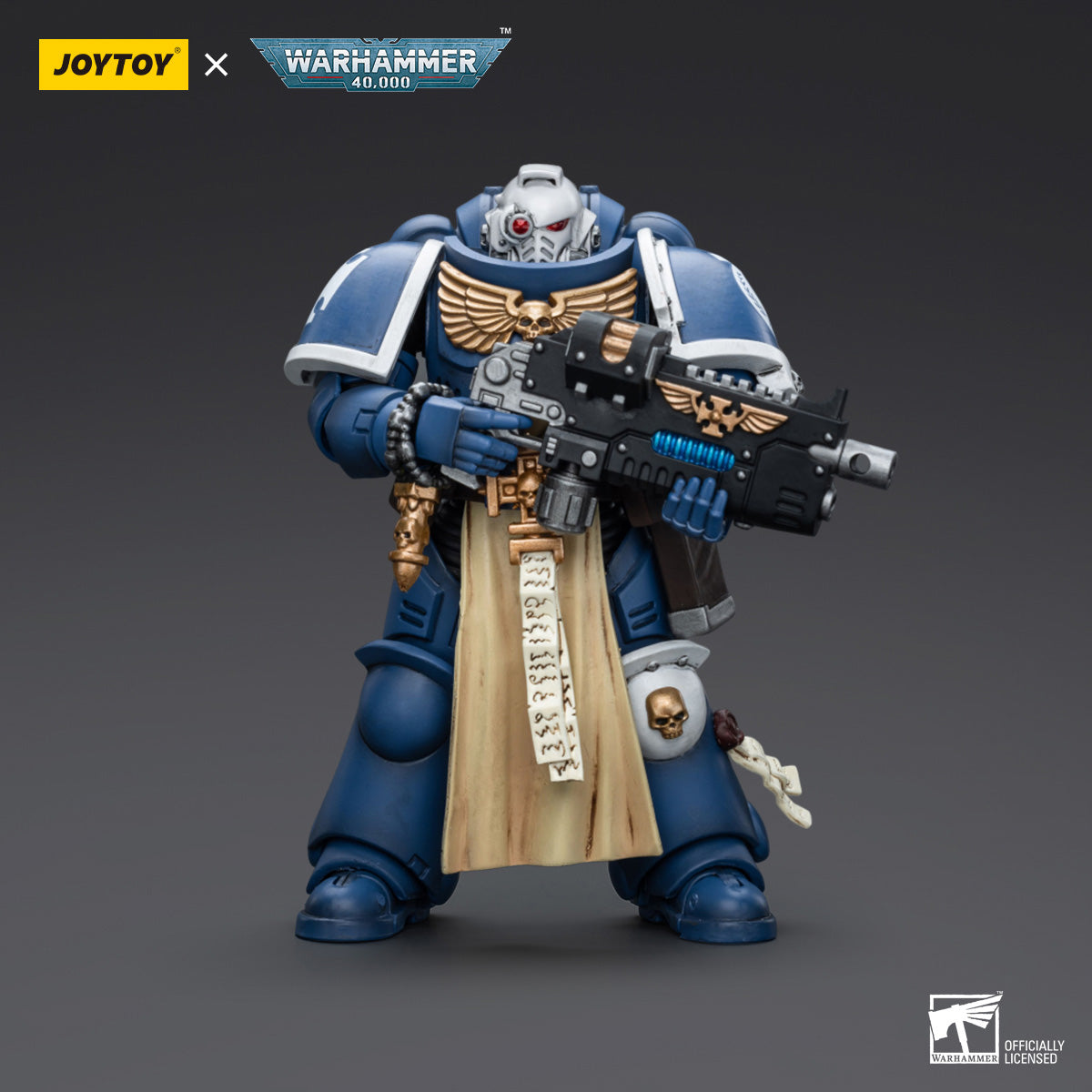 Ultramarines Sternguard Veteran