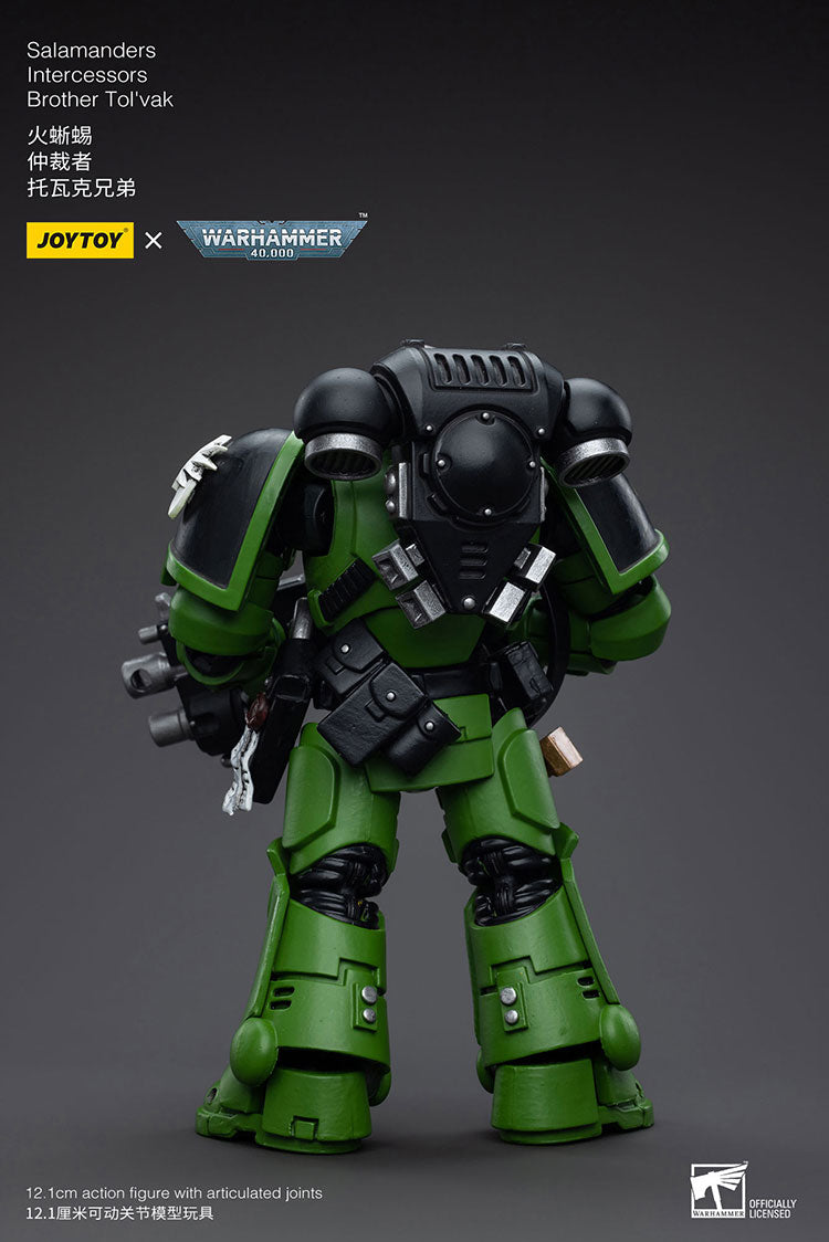 Salamanders Intercessors Brother Tol'vak