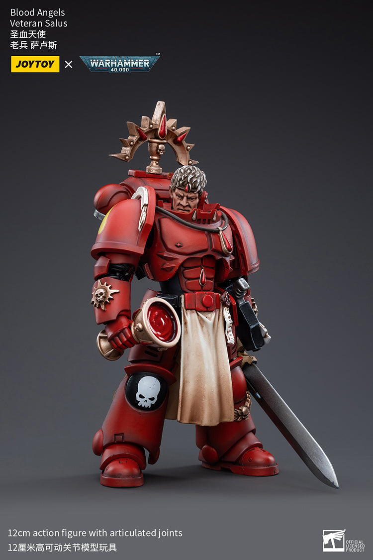 Blood Angels Veteran