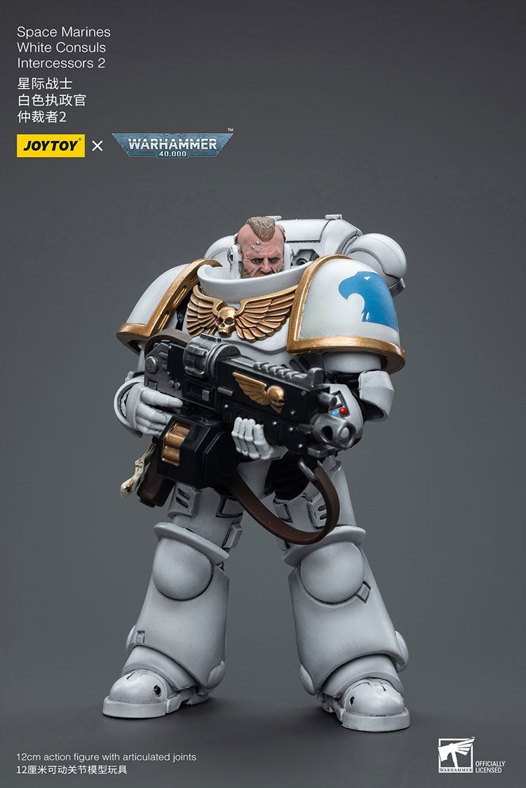 Space Marines White Consuls Intercessors 2