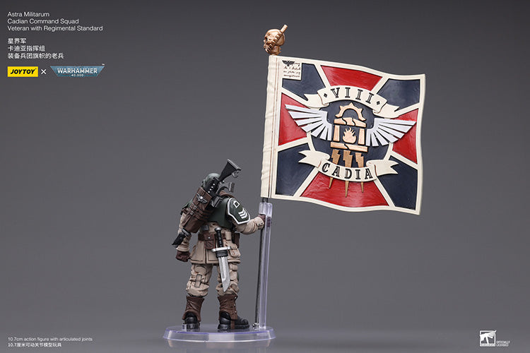 Astra Militarum Cadian Command Squad Veteran with Regimental Standard