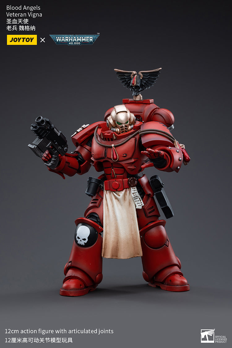 Blood Angels Veteran