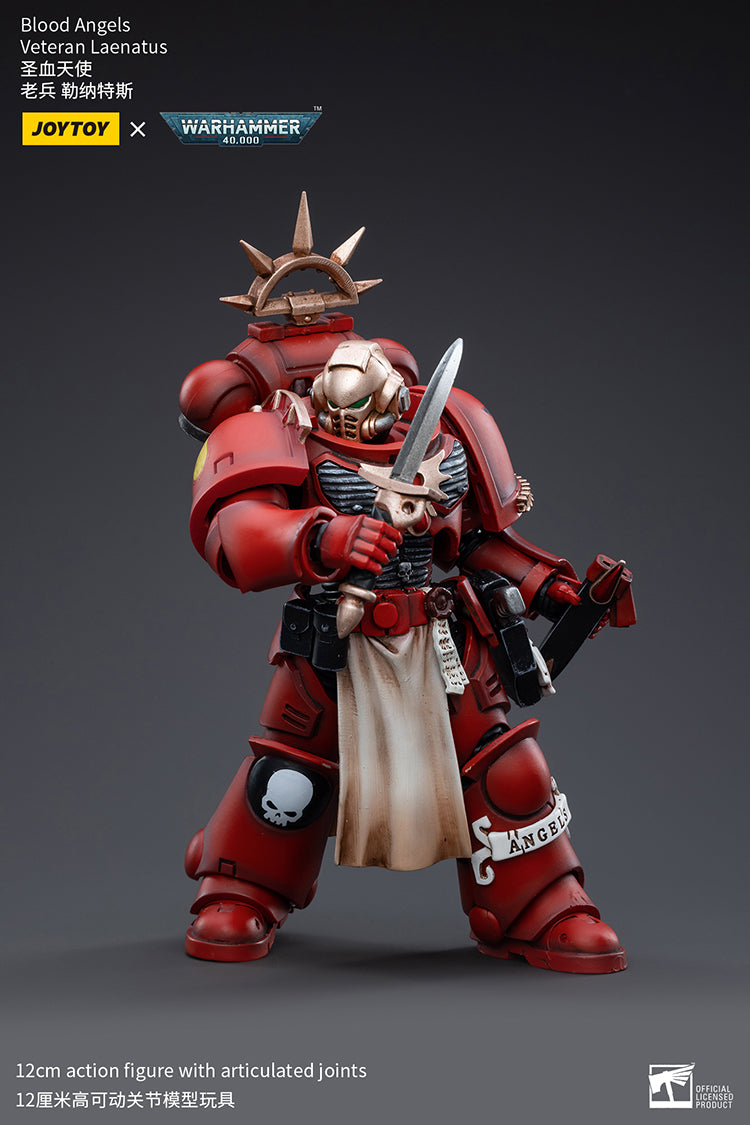 Blood Angels Veteran