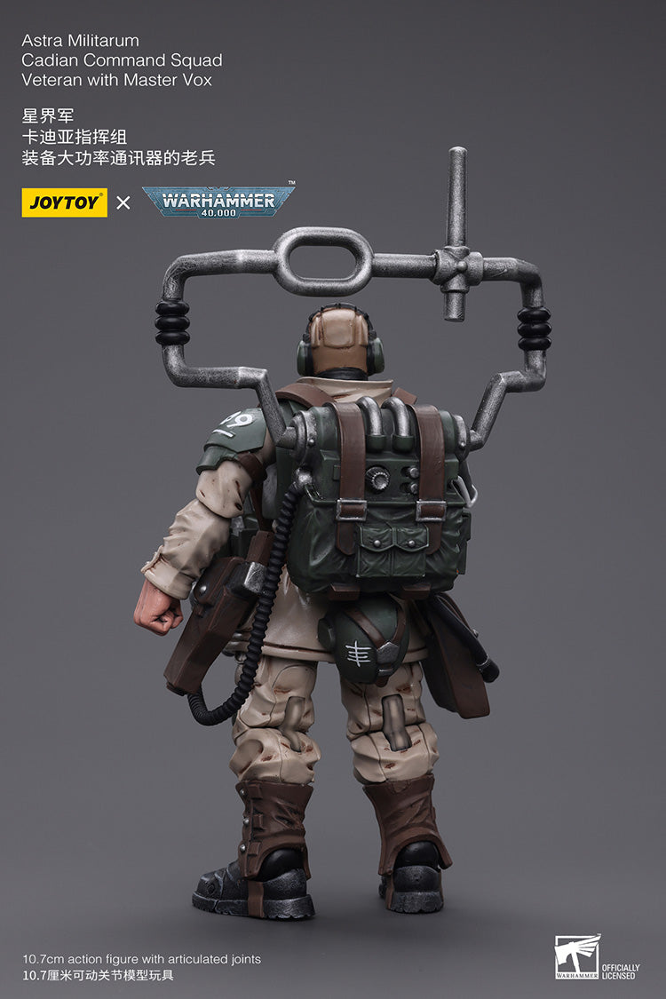Astra Militarum Cadian Command Squad Veteran with Master Vox