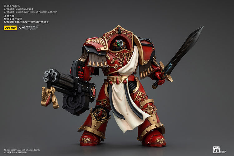 Blood Angels Crimson Paladins Squad