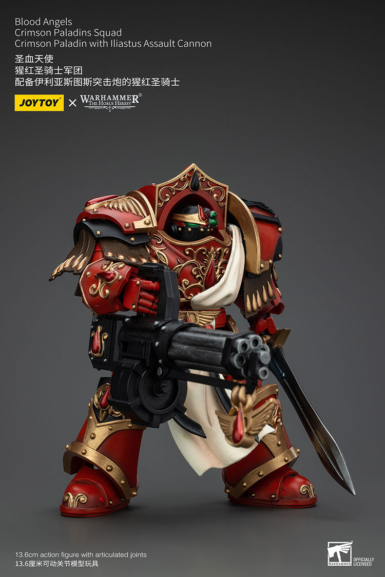 Blood Angels Crimson Paladins Squad
