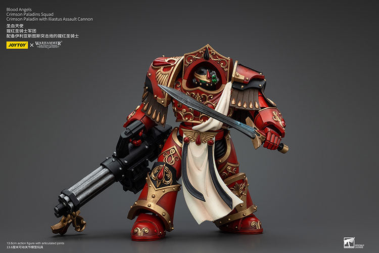 Blood Angels Crimson Paladins Squad