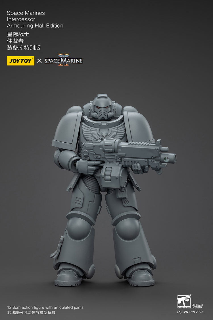 Space Marines Intercessor Armouring Hall Edition