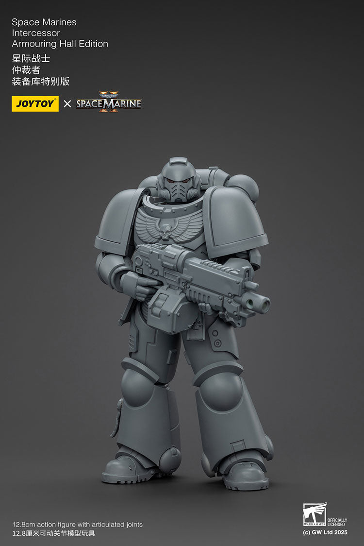 Space Marines Intercessor Armouring Hall Edition