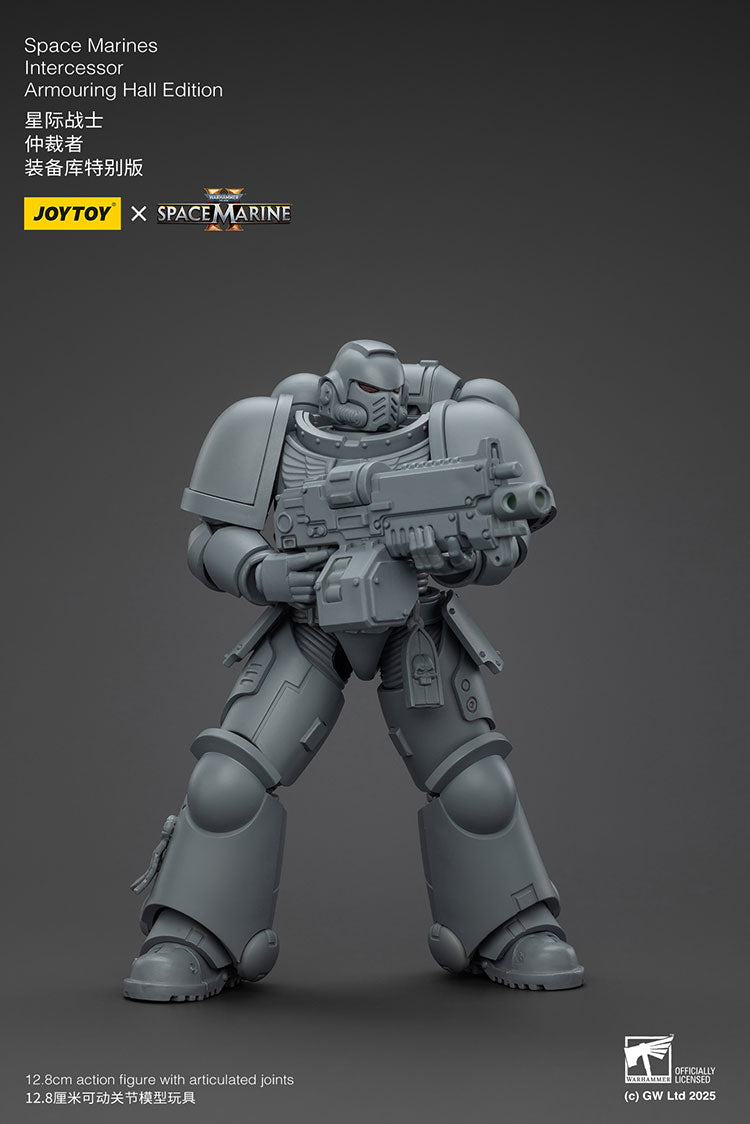 Space Marines Intercessor Armouring Hall Edition