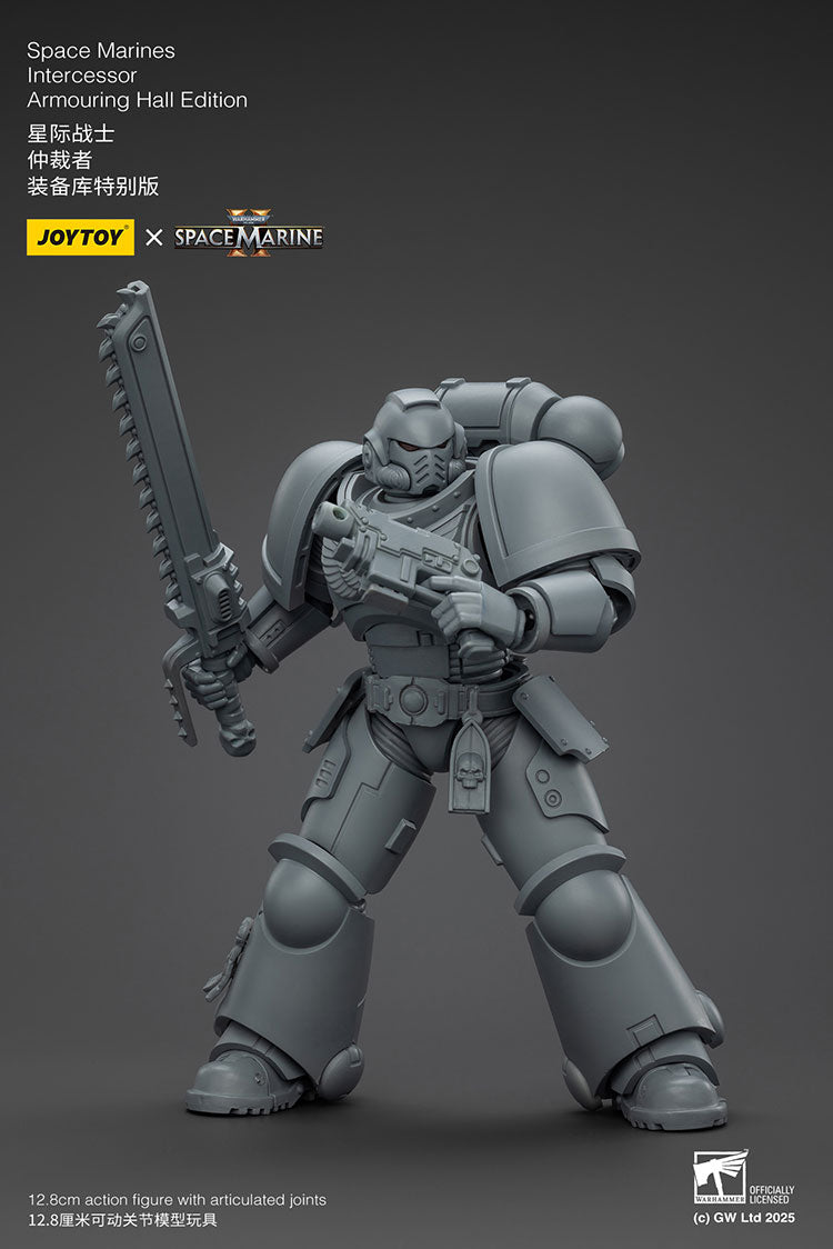 Space Marines Intercessor Armouring Hall Edition