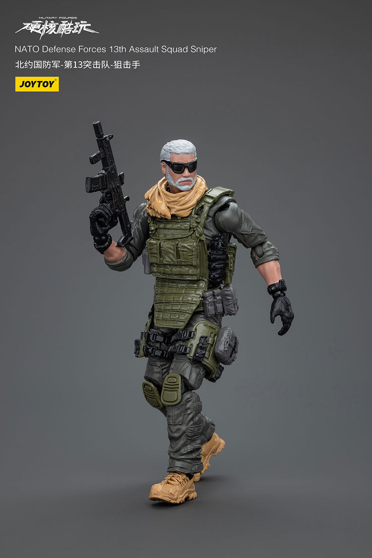 NATO Defense Forces 13th Assault Squad