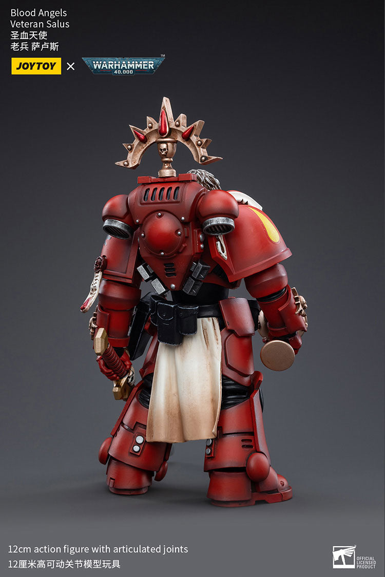 Blood Angels Veteran Salus