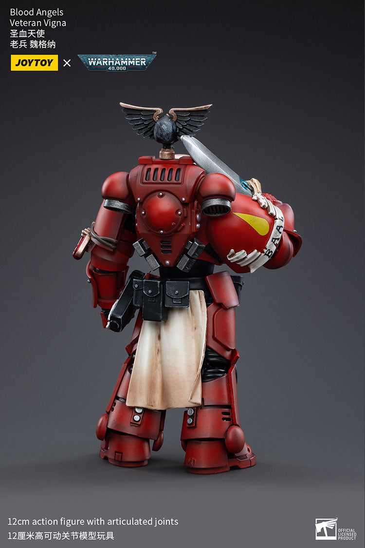 Blood Angels Veteran Vigna
