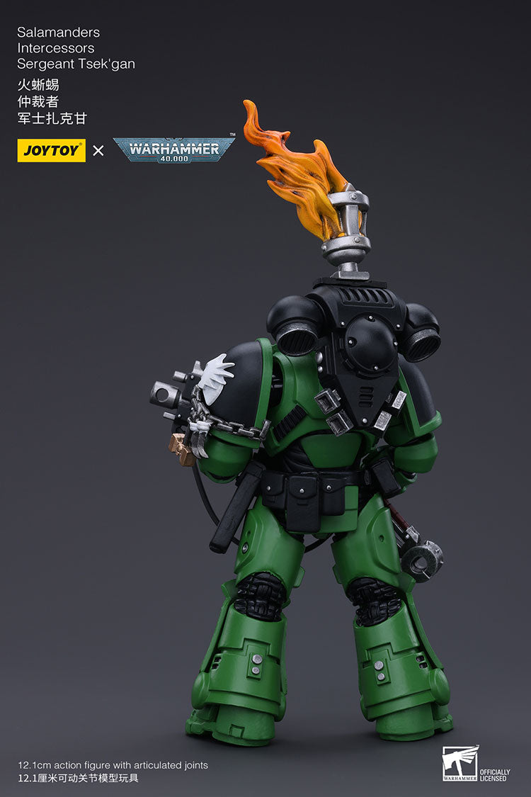 Salamanders Intercessors Sergeant Tsek'gan