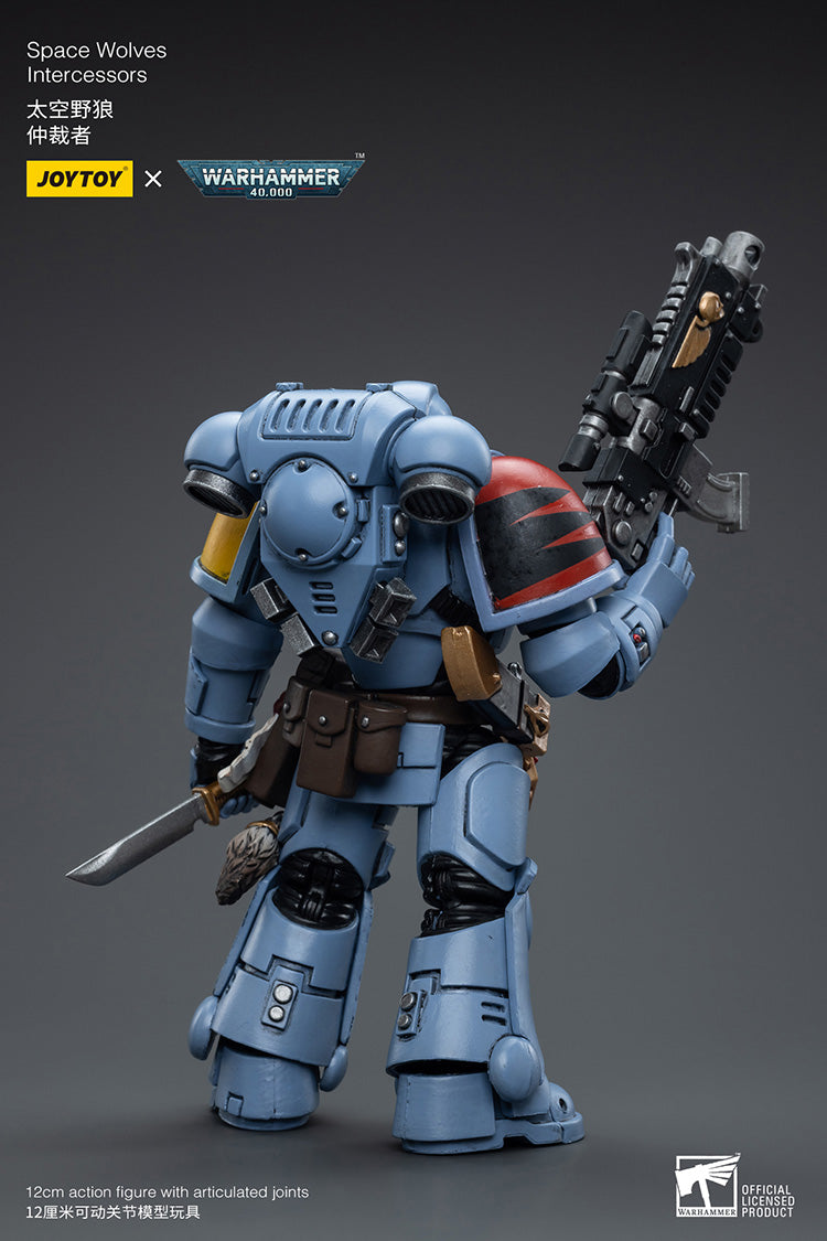 Space Wolves Intercessors
