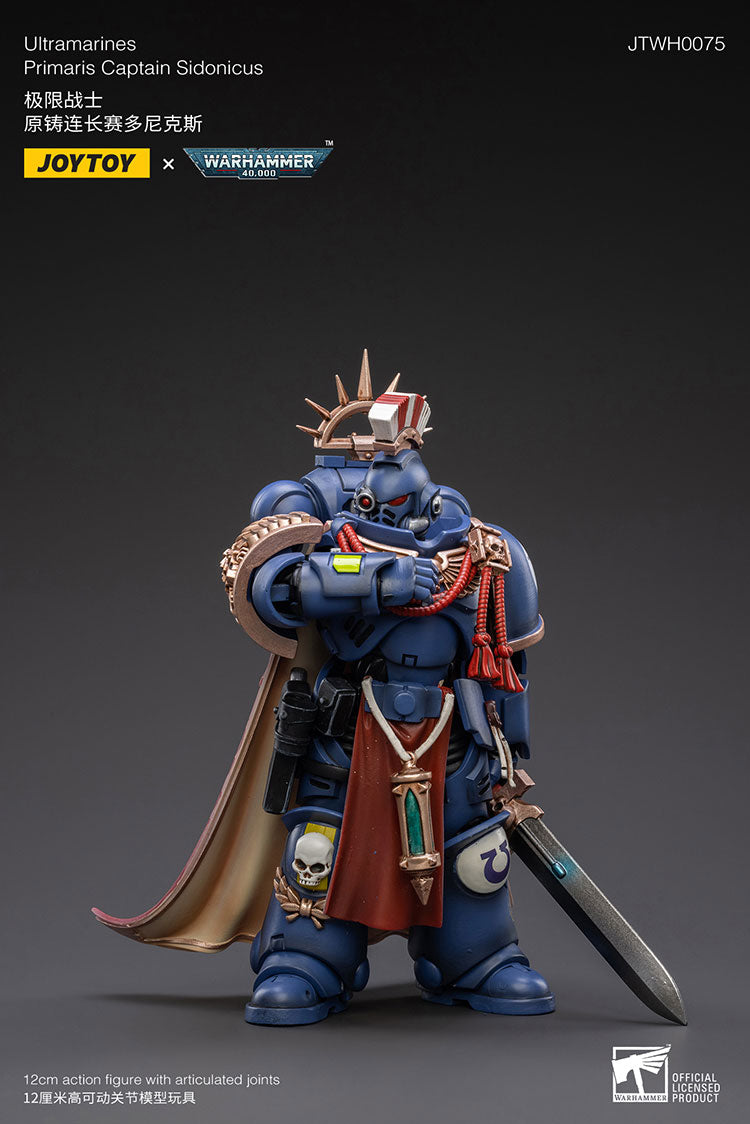 Primaris Captain Sidonicus