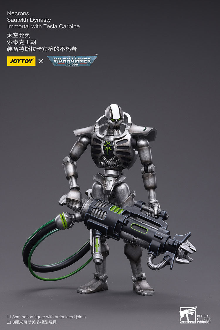 Necrons Sautekh Dynasty Immortal with Tesla Carbin