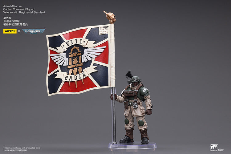 Astra Militarum Cadian Command Squad Veteran with Regimental Standard