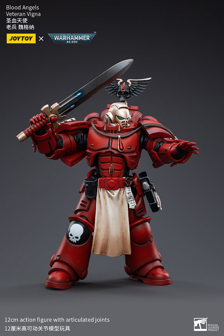Blood Angels Veteran