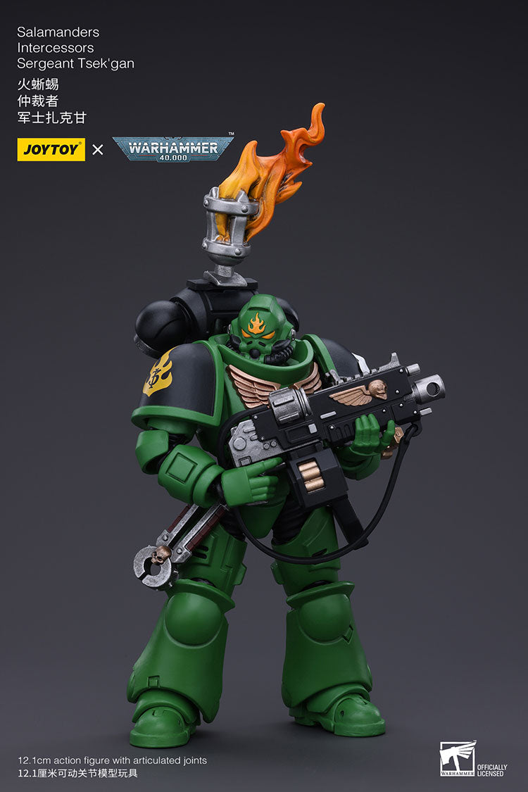 Salamanders Intercessors Sergeant Tsek'gan