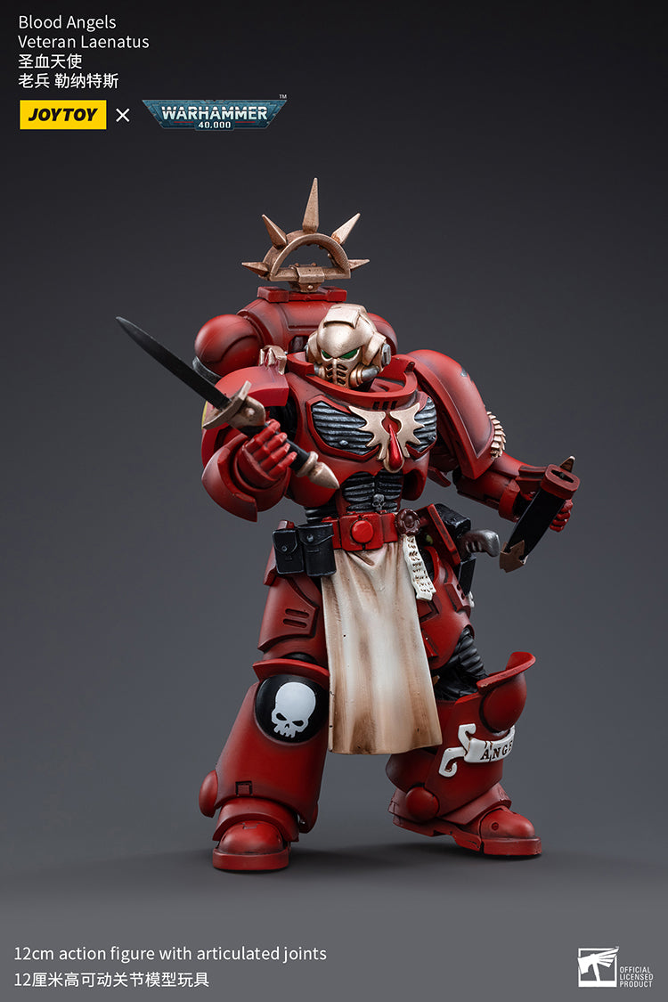Blood Angels Veteran