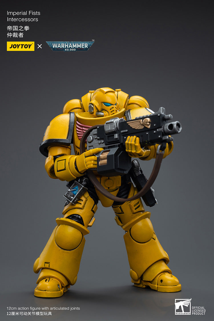 Imperial Fists Intercessors