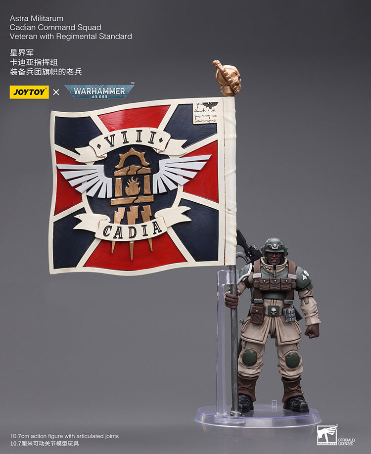Astra Militarum Cadian Command Squad Veteran with Regimental Standard