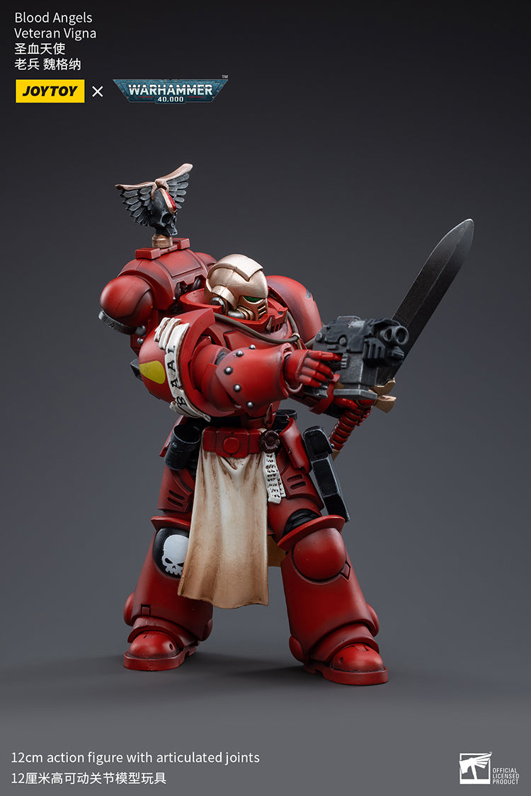 Blood Angels Veteran